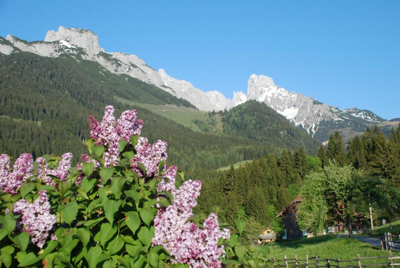 Alpenhaus Donnerkogel Appartement Annaberg im Lammertal Buitenkant foto