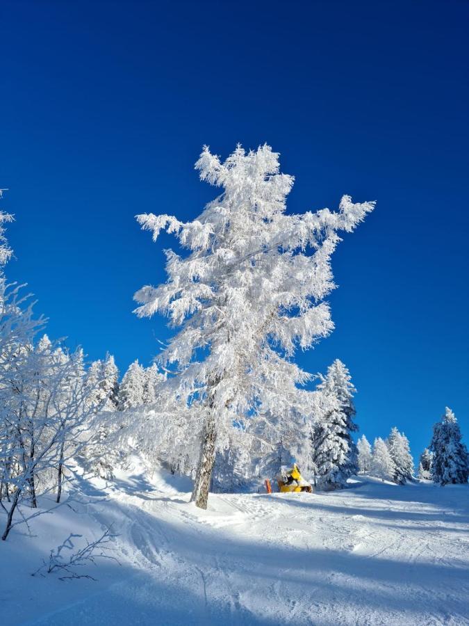 Alpenhaus Donnerkogel Appartement Annaberg im Lammertal Buitenkant foto